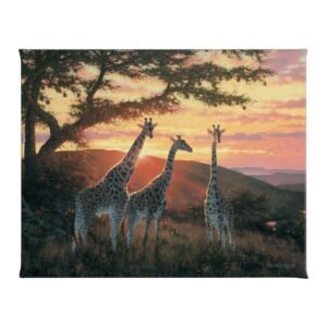 Sandriver Sunrise - Giraffes - 16" x 20.5" Gallery Wrapped Canvas