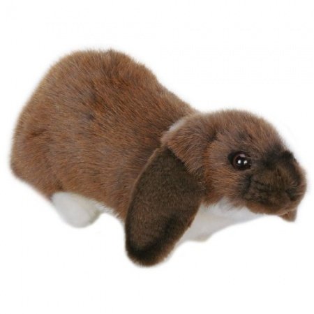 Hansa Lop Eared Bunny