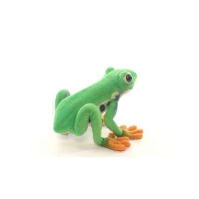 Hansa Red Eyed Tree Frog