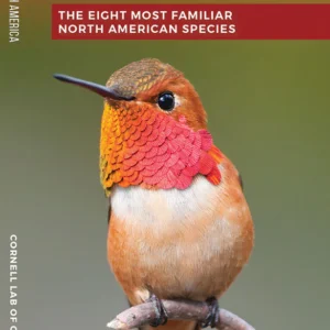 Hummingbirds of North America Pocket Guide