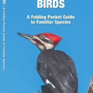 South Carolina Birds Pocket Guide
