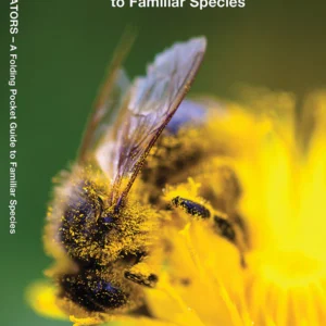Bees & Other Pollinators Pocket Guide