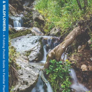 Tennessee Trees & Wildflowers Pocket Guide