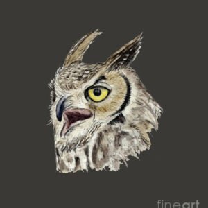 Great Horned Owl Art Print (12.00" x 14.00")