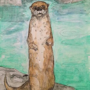 Curious North American River Otter Art Print (10.50″ x 14.00″)