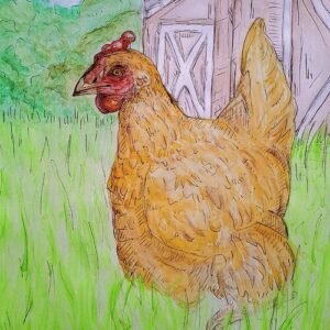 Country Hen Greeting Cards (Pack of 10)