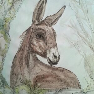 Country Donkey Greeting Cards (Pack of 10)