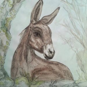 Country Donkey Art Print (10.50″ x 14.00″)