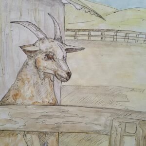 Billy the Goat Greeting Cards (Pack of 10)