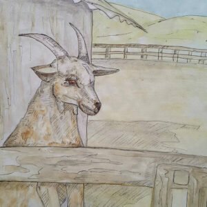 Billy the Goat Art Print (10.50″ x 14.00″)