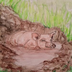 Pig in the Mud Art Print (10.50″ x 14.00″)