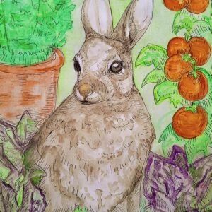 Garden Rabbit Greeting Cards (Pack of 10)
