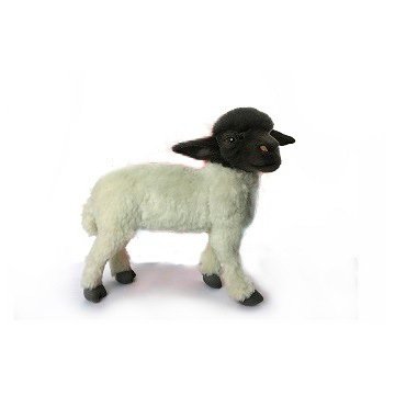 Hansa Sheep Suffolk Standing