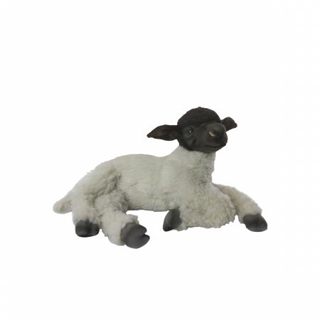 Hansa Sheep Suffolk Laying
