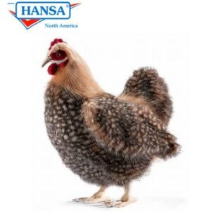 Hansa Brown Hen