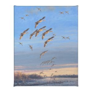 Sandhill Crane Study - 16" x 20.5" Gallery Wrapped Canvas