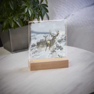 Winter Range Mule Deer - Acrylic Night Light