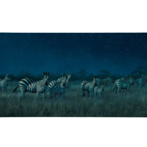 Midnight on the Serengeti - Zebras - 16" x 31" Gallery Wrapped Canvas