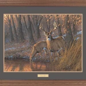 Framed Woodland Waterhole - Deer - 17″ x 23″ GNA Premium Print