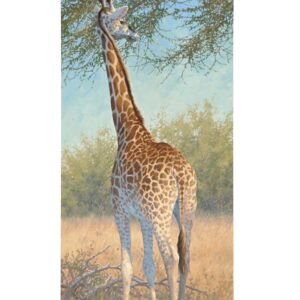 Giraffe - 16" x 31" Gallery Wrapped Canvas