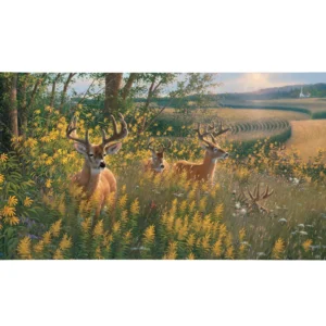 Boys of Summer Whitetail Deer - 16" x 31" Gallery Wrapped Canvas