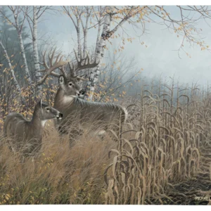 One for the Records - Deer - 19" x 24" Gallery Wrapped Canvas