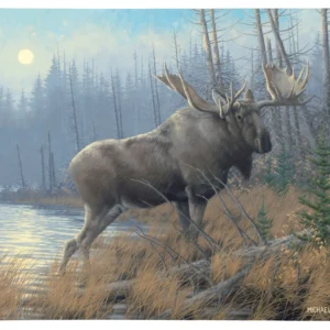 Out of the Mist Moose - 19" x 24" Gallery Wrapped Canvas