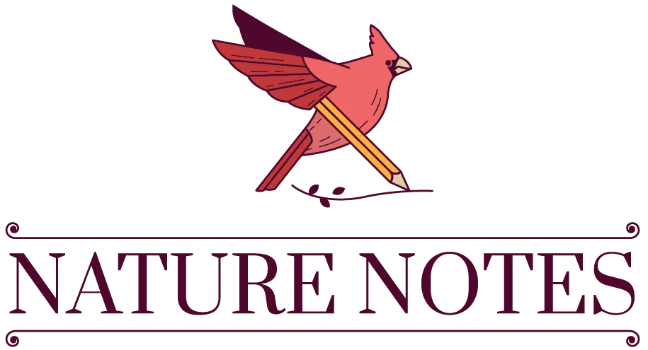 shopnaturenotes.com