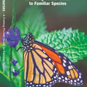 Butterflies & Pollinators Pocket Guide