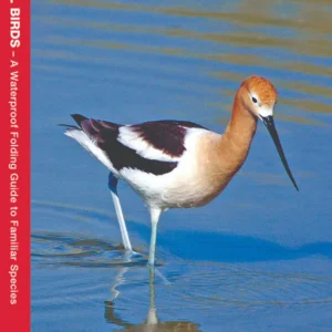 Western Coastal Birds Pocket Guide