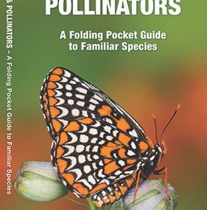 Maine Butterflies & Pollinators Pocket Guide