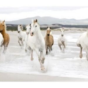 Horses on the Beach (detail) – 24 x 12 in. Premium Paper Print