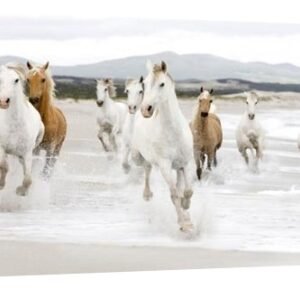 Horses on the Beach (detail) - 24 x 12 in. Premium Museum Wrapped Canvas