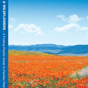 California Trees & Wildflowers Pocket Guide