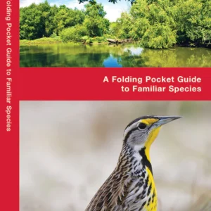Kansas Birds Pocket Guide