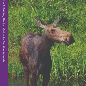Michigan Wildlife Pocket Guide