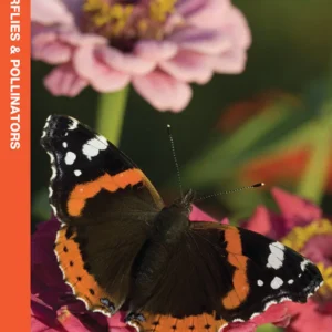 Wisconsin Butterflies & Pollinators Pocket Guide