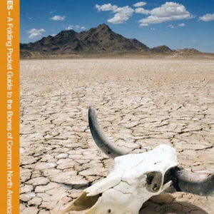 Animal Skulls & Bones, Laminated Pocket Guide