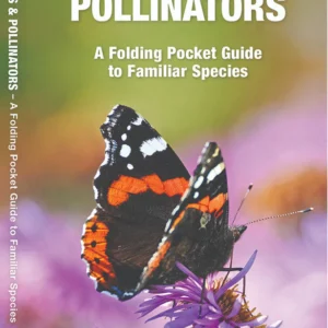 Indiana Butterflies & Pollinators Pocket Guide