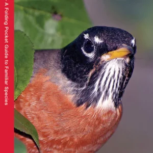 Wisconsin Birds Pocket Guide
