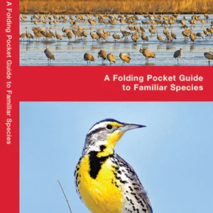 Nebraska Birds Pocket Guide