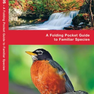 Connecticut Birds Pocket Guide