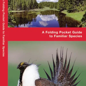 Wyoming Birds Pocket Guide