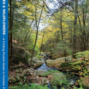 Connecticut Trees & Wildflowers Pocket Guide