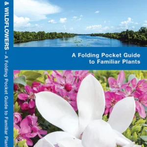 Mississippi Trees & Wildflowers Pocket Guide