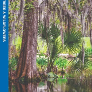South Carolina Trees & Wildflowers Pocket Guide
