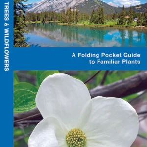 British Columbia Trees & Wildflowers Pocket Guide