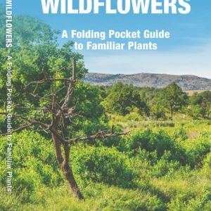 Oklahoma Trees & Wildflowers Pocket Guide
