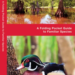 Mississippi Birds Pocket Guide