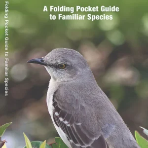 Arkansas Birds Pocket Guide